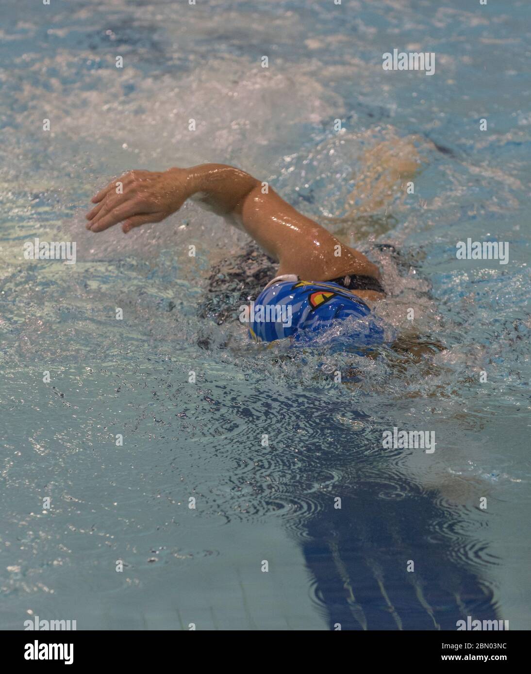 Uomini di 65 a 70 anni, libera stile nuoto concorrenza. Foto Stock