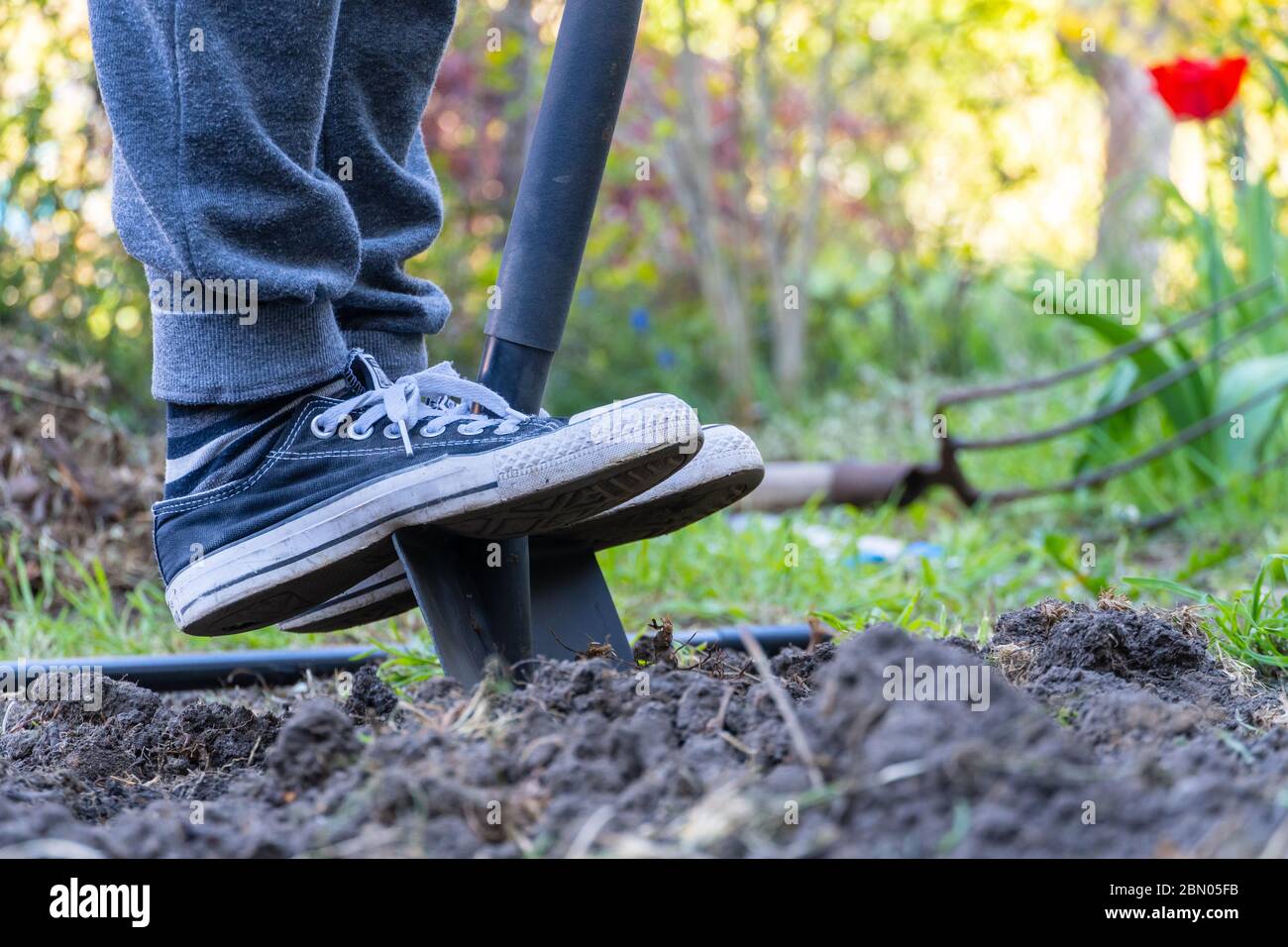 Giorno di sole nel giardino e una persona che si avvicina a scavare un buco senza successo, divertimento nel concetto giardino Foto Stock
