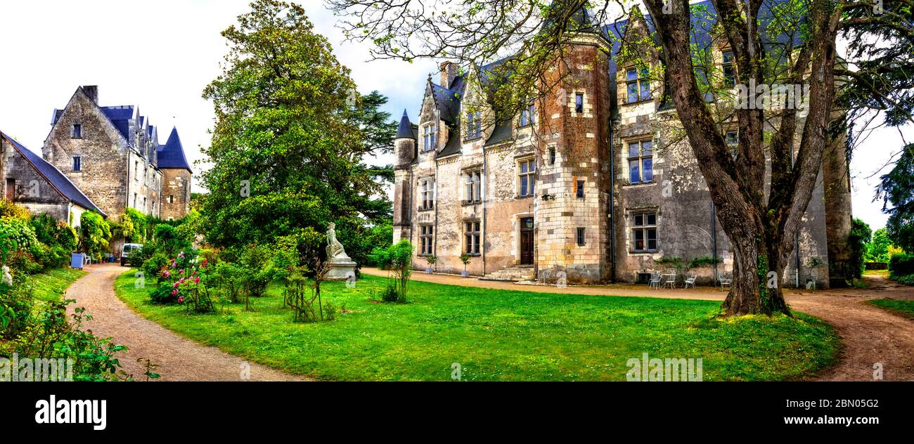 Bei castelli romantici della valle della Loira - Chateau de Montresor . Castelli famosi e punti di riferimento della Francia Foto Stock