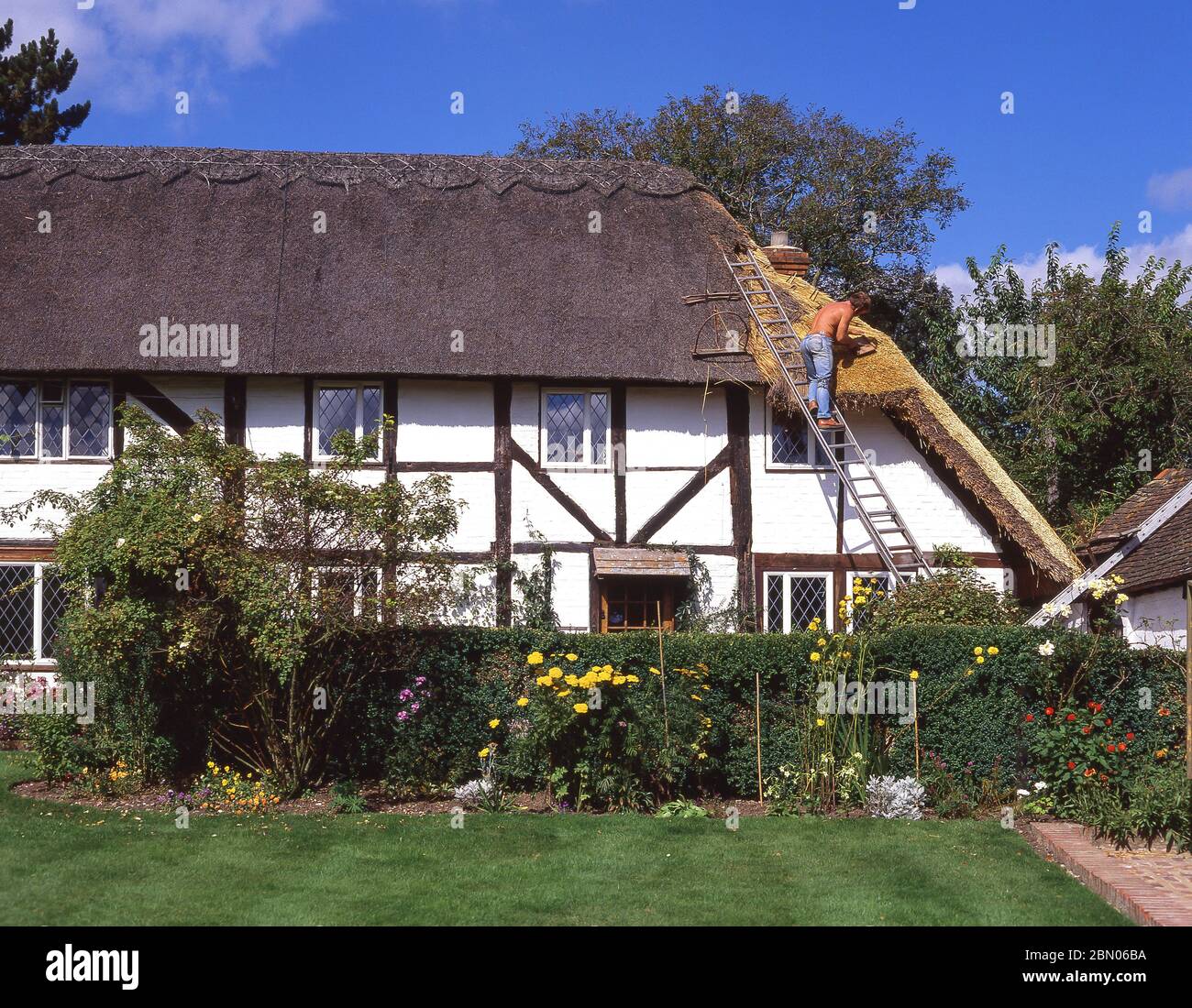 Thatcher riparazione tetto di paglia su cottage, vicino a Romsey, Hampshire, Inghilterra, Regno Unito Foto Stock