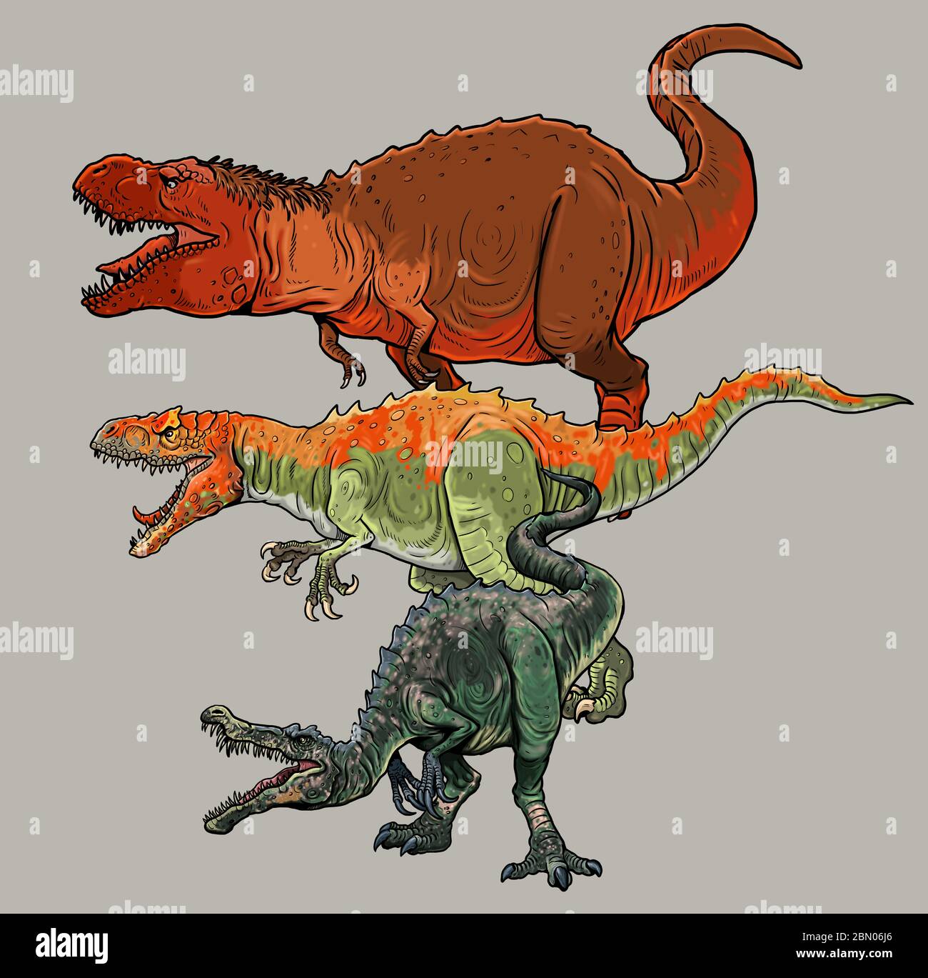 Confronto dei dinosauri: Tyrannosaurus rex, Allosaurus e Baryonyx. Foto Stock
