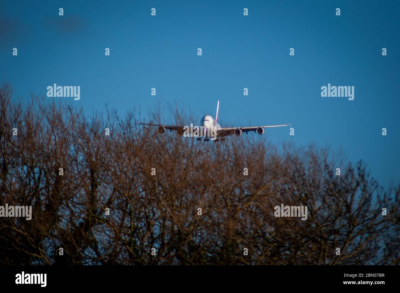 Un Airbus Emirates A380 sull'approccio finale alla pista di heathrow 27R con alberi in primo piano. Foto Stock