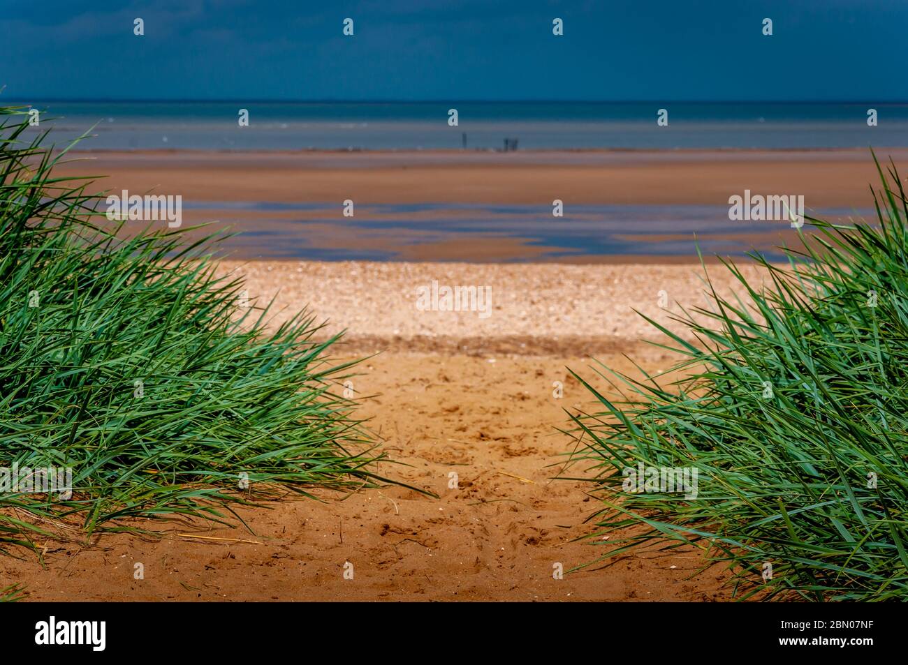 L'erba di mare incornicia l'ingresso alla spiaggia di Anderby Creek, vicino Skegness, Lincolnshire a bassa marea in una calda giornata di sole. Foto Stock