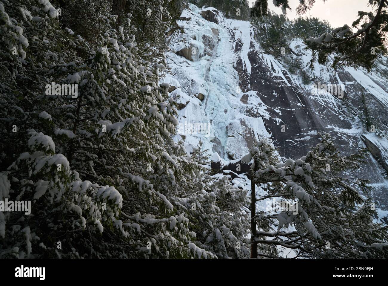 Shannon Falls Winter Ice BC. Shannon Falls congelati in inverno. Situato vicino a Squamish a nord di Vancouver e vicino a Howe Sound. Columbia Britannica, Canada Foto Stock
