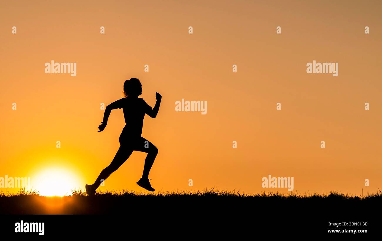 Silhouette, donna, 23 anni jogging, tramonto, Germania Foto Stock