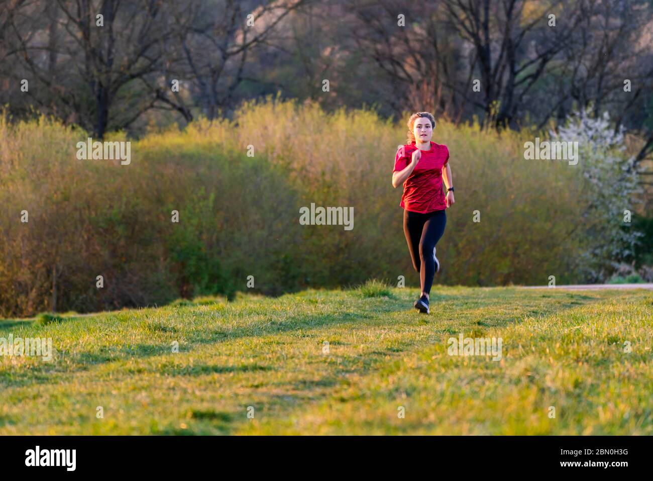 Donna, 23 anni, jogging sul prato, Germania Foto Stock