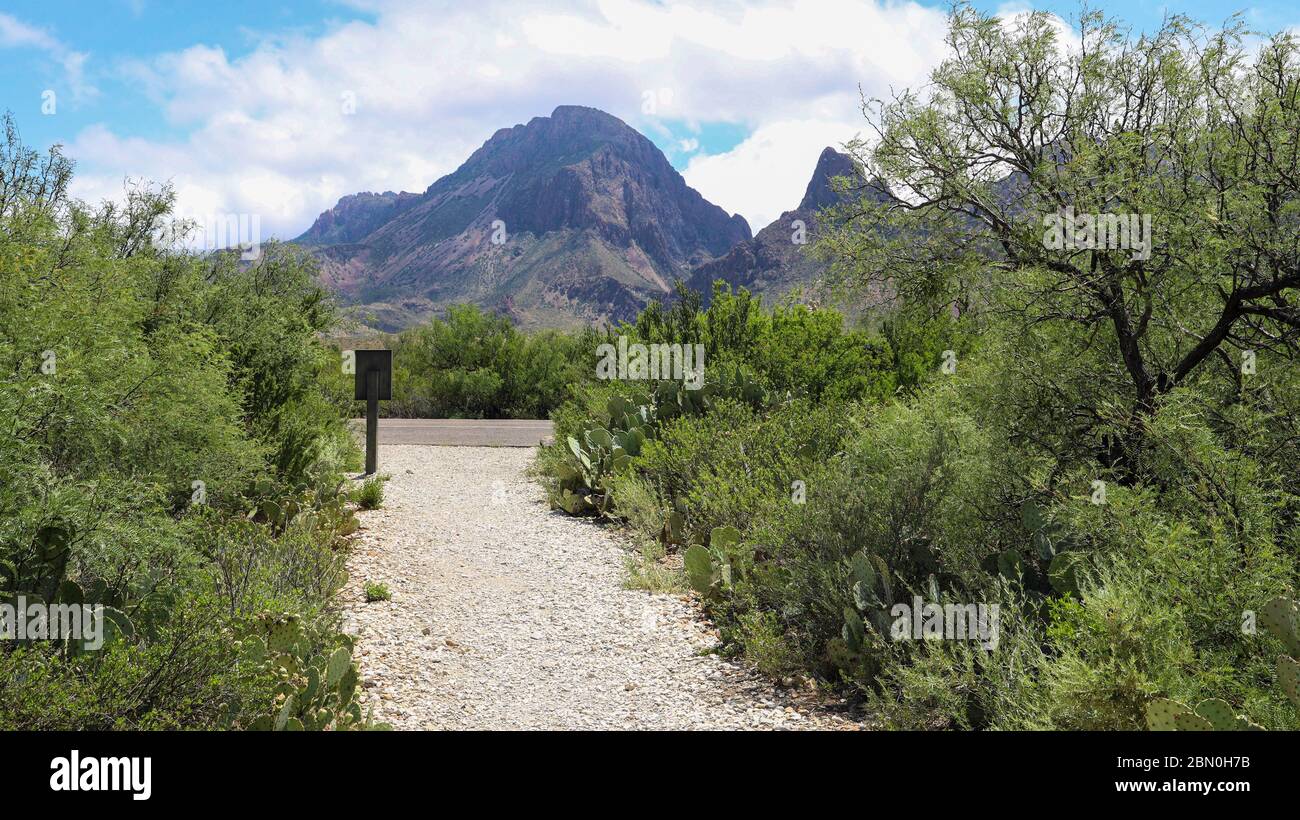 Le Chisos Mountains, viste qui dal Sam Nail Ranch Trail sul Big Bend National Park in Texas, sono di origine vulcanica Foto Stock