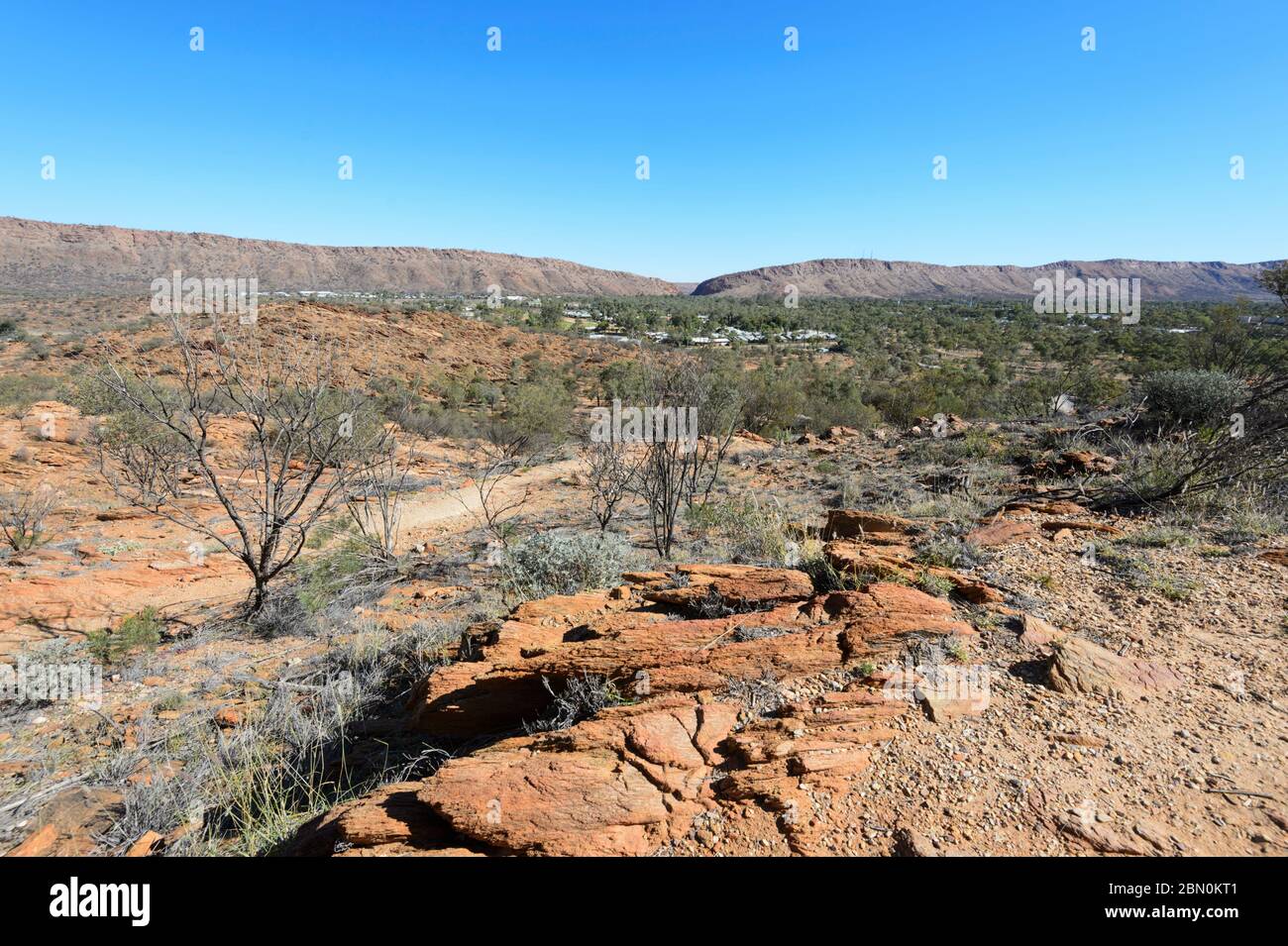 Vista panoramica di Alice Springs e delle catene montuose McDonnell da un punto di osservazione al Giardino Botanico Rosa Olive, Alice Springs, Northern Territory, NT, Australia Foto Stock