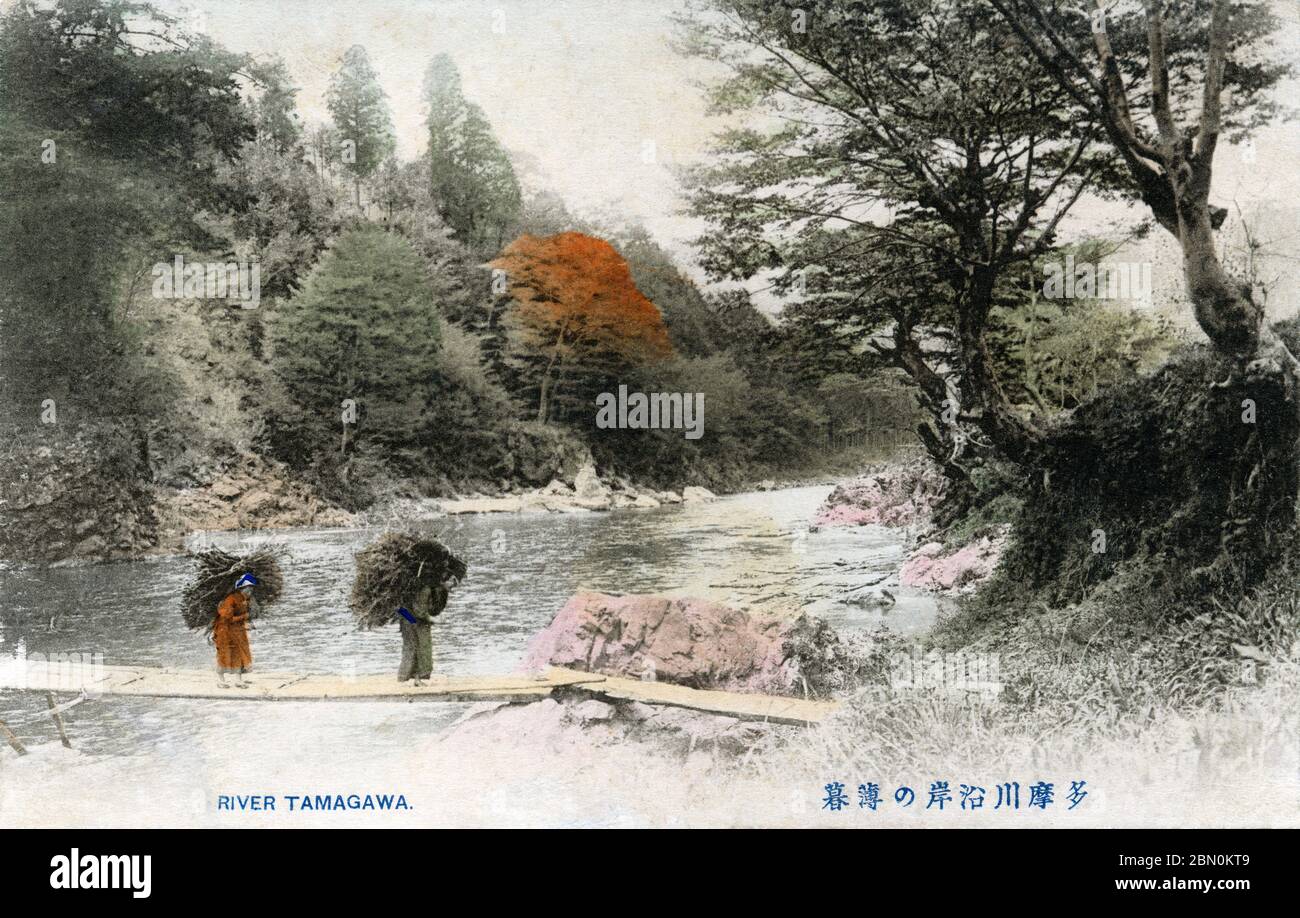 [ 1900s Giappone - Donne giapponesi che trasportano legna ] - le donne rurali che trasportano i carichi pesanti della legna attraversano un ponte rickety sopra il fiume Tamagawa (多摩川). Il Tamagawa è un fiume importante nelle prefetture di Yamanashi, Kanagawa e Tokyo, con una lunghezza totale di 138 chilometri. cartolina vintage del xx secolo. Foto Stock