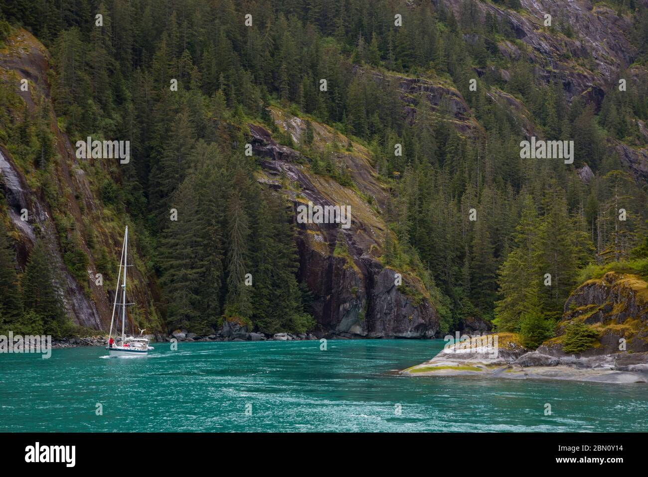 Fords terror, Tongass National Forest, Alaska. Foto Stock