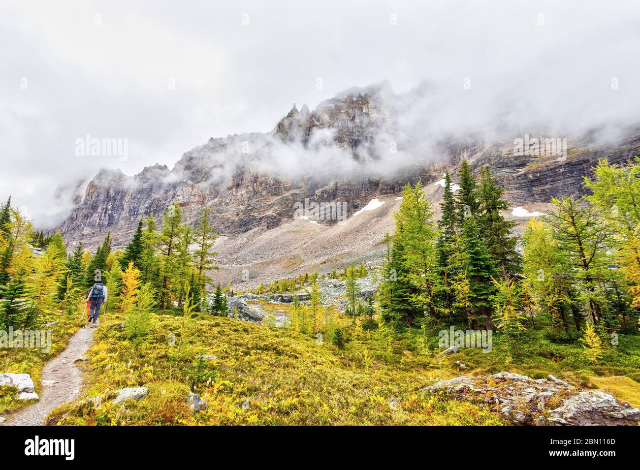 Gli escursionisti hanno visto sul sentiero Otrabin al lago o'Hara nel Canadian Rockies of Yoho National Park, mentre le nuvole pesanti scendono sul Monte Shaffer. Foto Stock