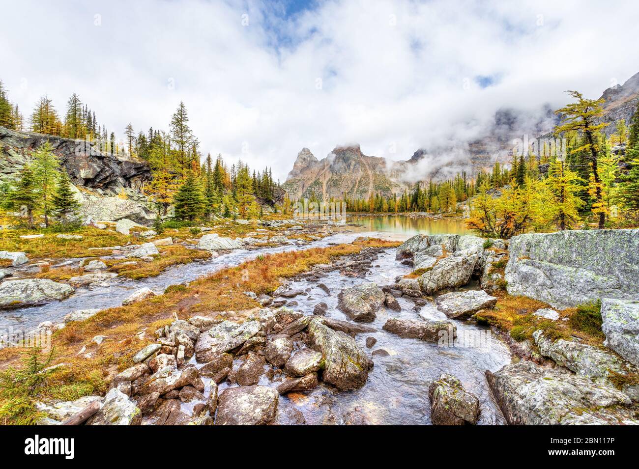 Scena autunnale al Lago o'Hara nelle Montagne Rocciose Canadesi del Parco Nazionale di Yoho con larici che si dorano sui Laghi di Moor e nebbia pesante sul Monte Yukness Foto Stock