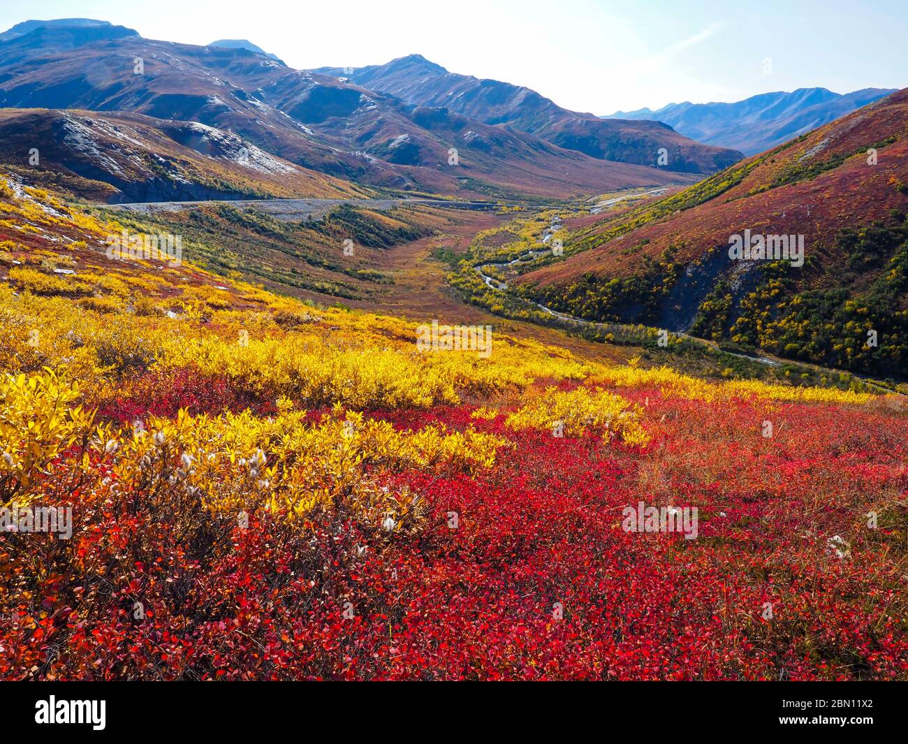 Colori autunnali lungo la Dalton Highway, Brooks Range, Alaska. Foto Stock
