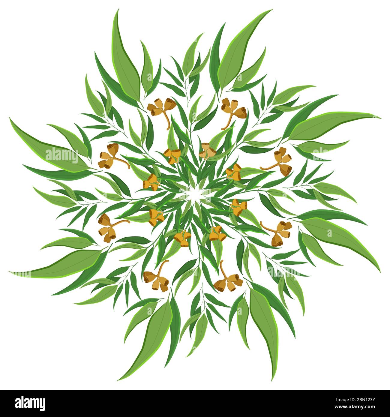 Natura astratta ornamento rotondo, modello mandala. Motivo floreale circolare di eucalipto, motivo isolato su sfondo bianco Illustrazione Vettoriale