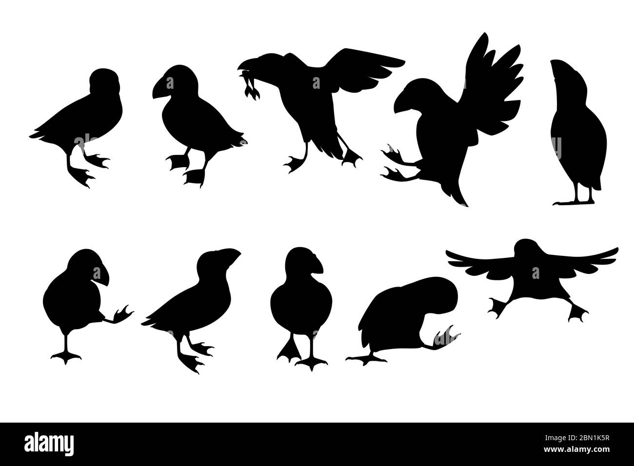 Silhouette nera set di uccello di puffin atlantico in diverse pose cartoon animale disegno piatto vettore illustrazione isolato su sfondo bianco Illustrazione Vettoriale