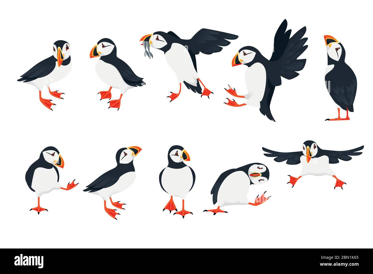 Set di uccello di puffin atlantico in diverse pose cartoon animale disegno piatto vettore illustrazione isolato su sfondo bianco Illustrazione Vettoriale