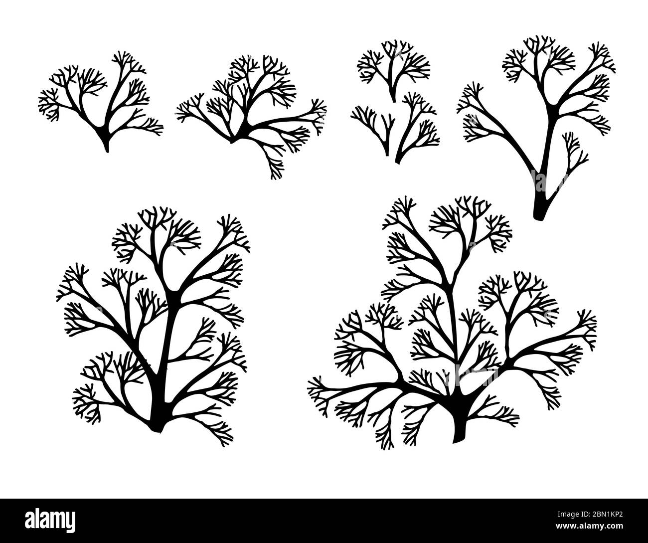 Set di alghe corallo nere silhouette vettoriale piatta illustrazione isolata su sfondo bianco Illustrazione Vettoriale