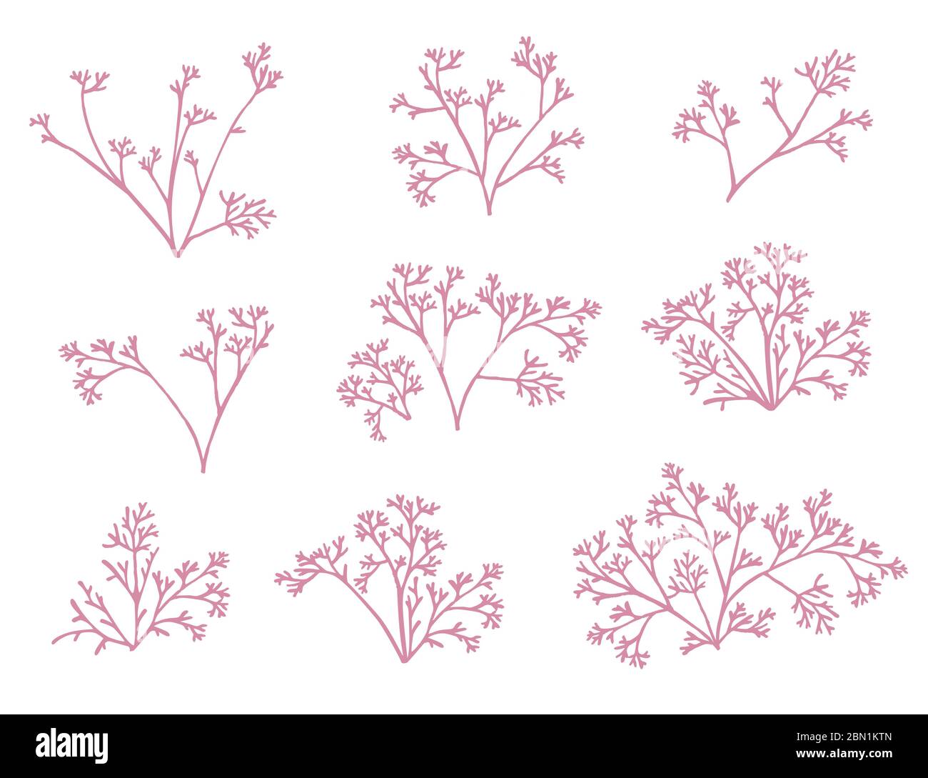 Set di alghe di corallo rosa silhouette vettoriale piatto illustrazione isolato su sfondo bianco Illustrazione Vettoriale