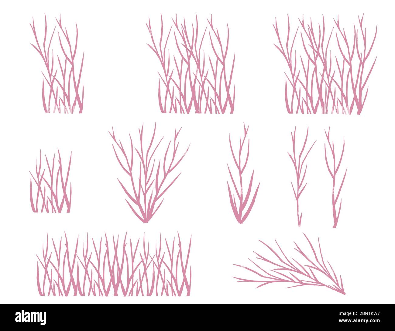 Set di alghe di corallo rosa silhouette vettoriale piatto illustrazione isolato su sfondo bianco Illustrazione Vettoriale