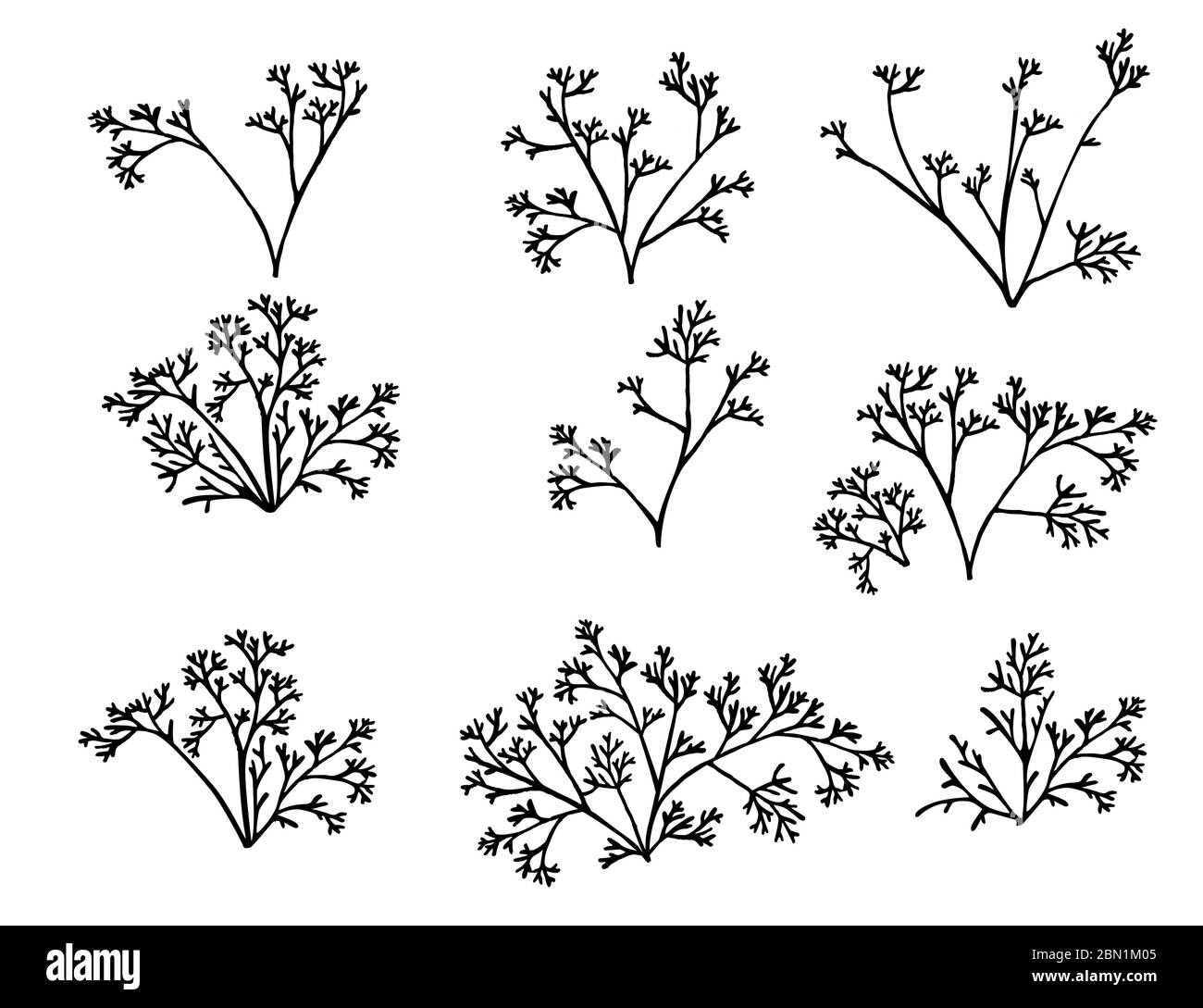 Set di alghe corallo nere silhouette vettoriale piatta illustrazione isolata su sfondo bianco Illustrazione Vettoriale