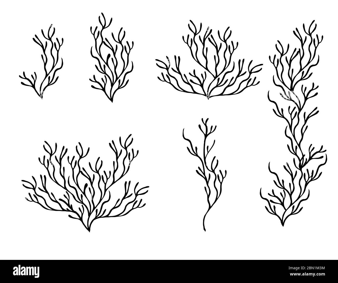 Set di alghe corallo nere silhouette vettoriale piatta illustrazione isolata su sfondo bianco Illustrazione Vettoriale