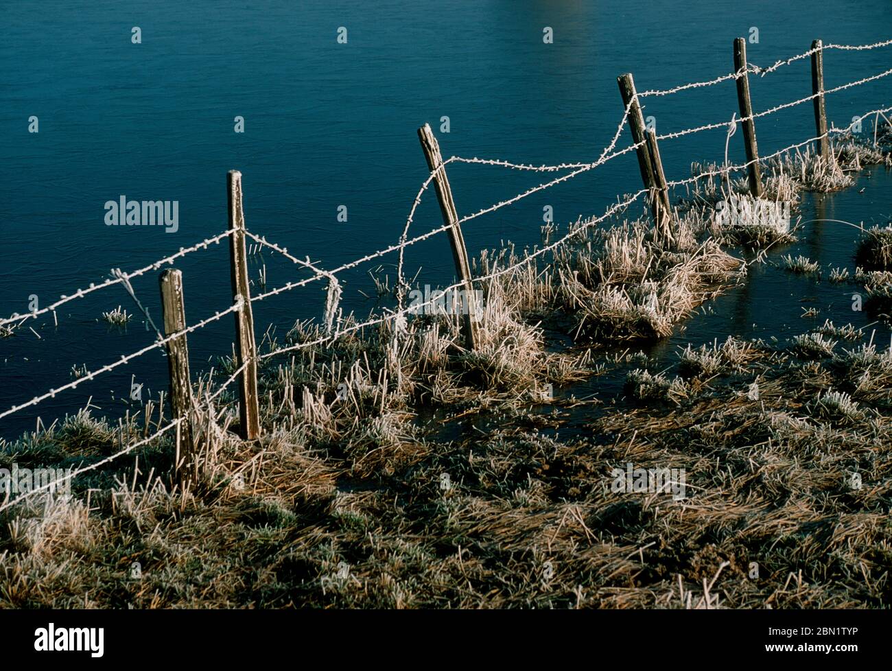 Primo piano di recinzione filo spinato nel lago Foto Stock