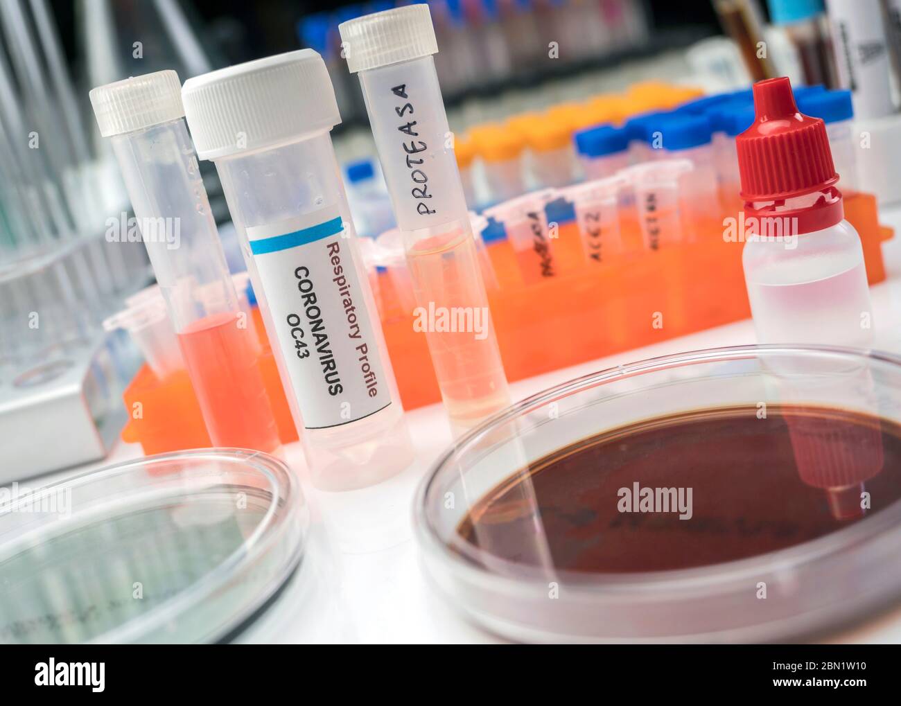 Fiale con campioni di SARS-COV-2 Covid-19 in un laboratorio di ricerca, immagine concettuale Foto Stock