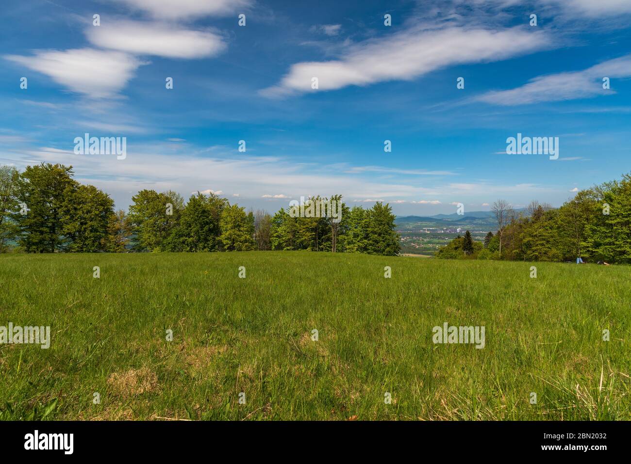 Godula collina a Moravskoslezske Beskydy montagne in Repubblica Ceca con prato e alberi intorno durante la bella primavera giorno Foto Stock