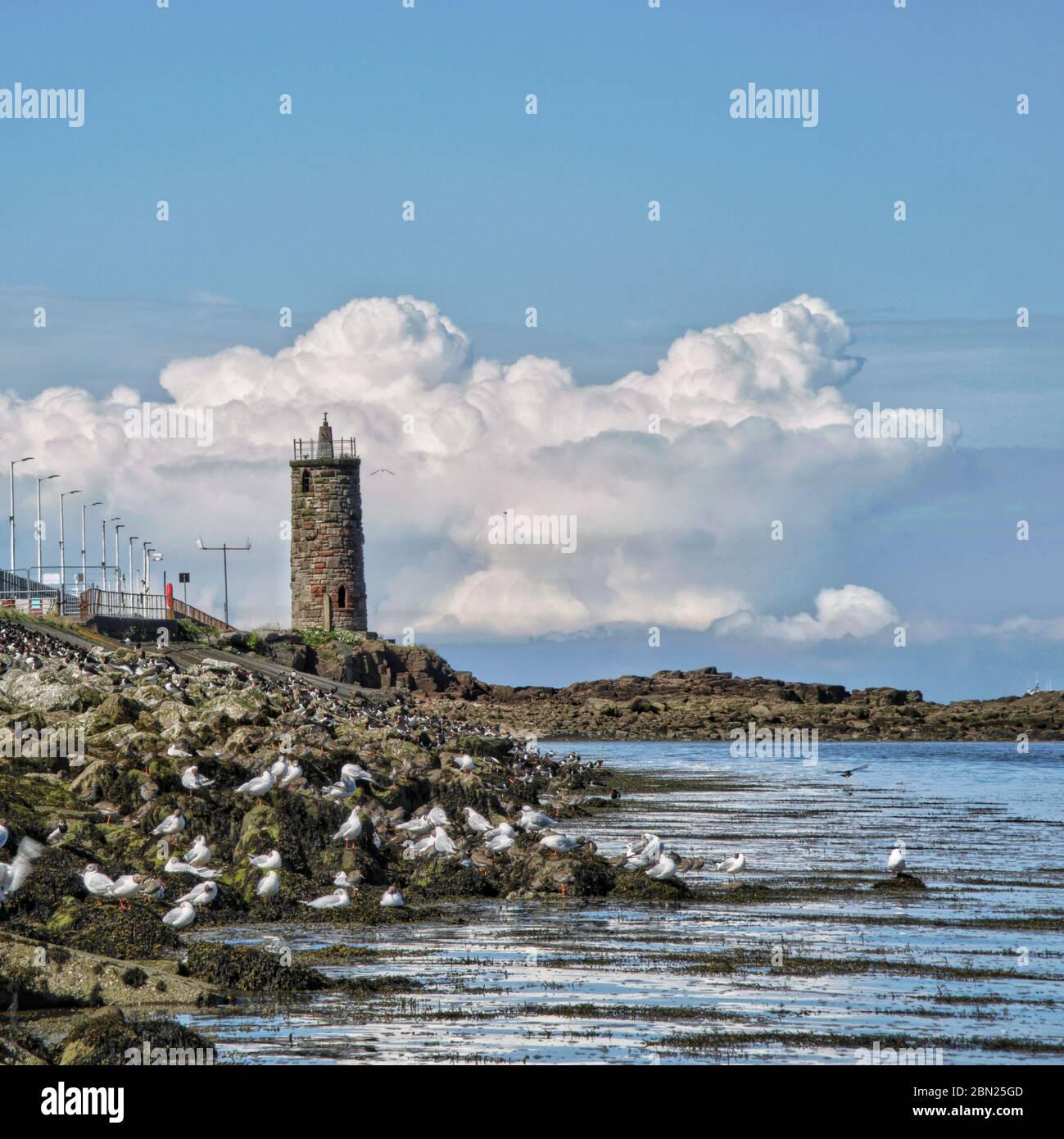 Torre in pietra costruita sulla riva con uccelli marini sulle rocce di fronte sotto una giornata blu e nuvolosa Foto Stock