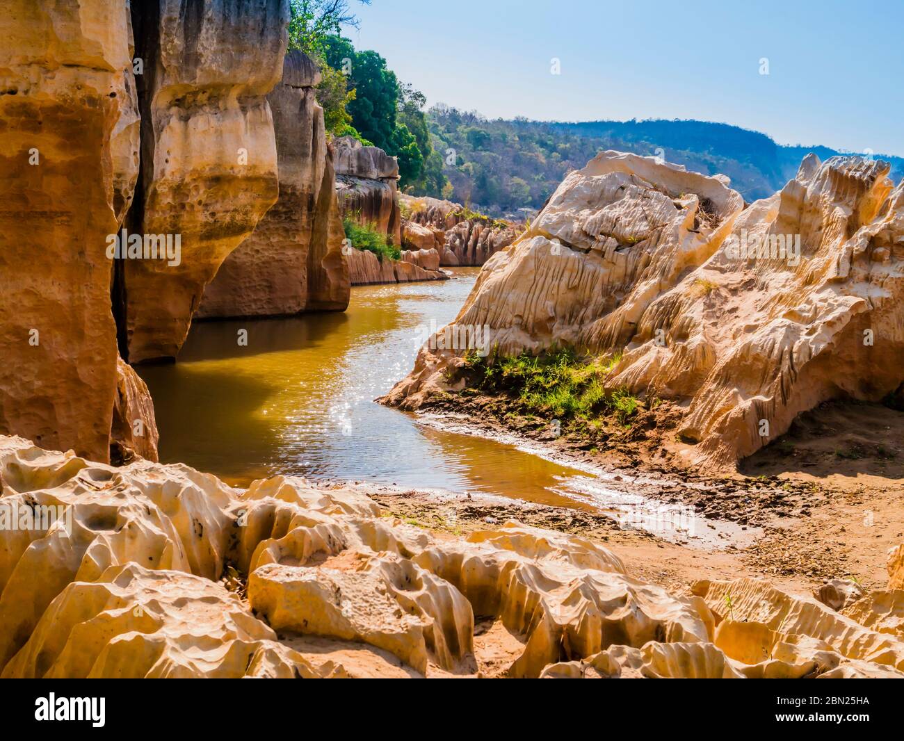 Spettacolari formazioni di pietra sulla riva del fiume Manambolo, Tsingy de Bemaraha Riserva Naturale rigorosa, Madagascar Foto Stock