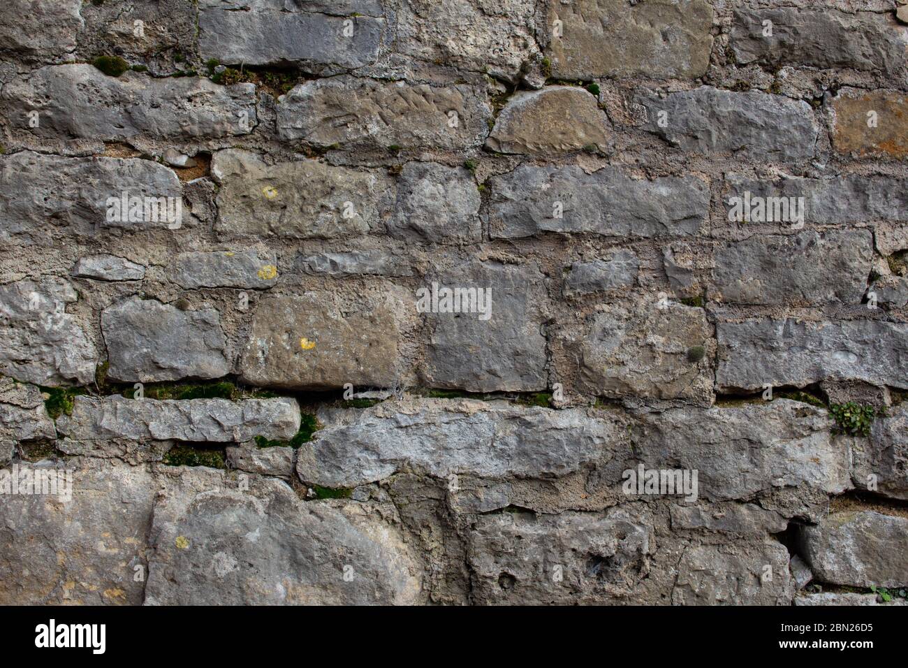 Vecchio muro di pietra naturale con piante e muschio che crescono dallo sfondo crepe Foto Stock