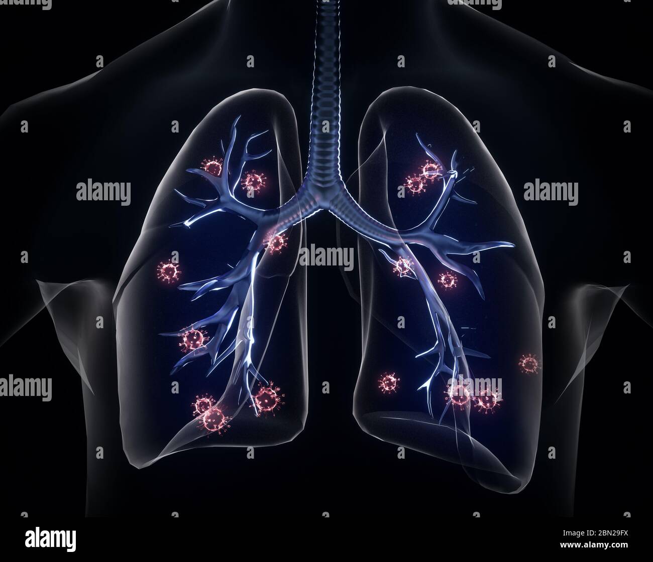 COVID-2019. Ologramma di coronavirus su sfondo nero. Tipo mortale di virus 2019-nCoV. Modelli 3D sistema respiratorio. Illustrazione 3D Foto Stock