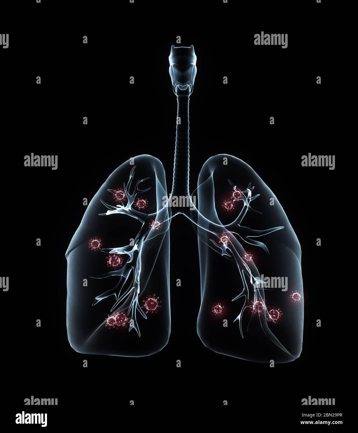 COVID-2019. Ologramma di coronavirus su sfondo nero. Tipo mortale di virus 2019-nCoV. Modelli 3D sistema respiratorio. Illustrazione 3D Foto Stock