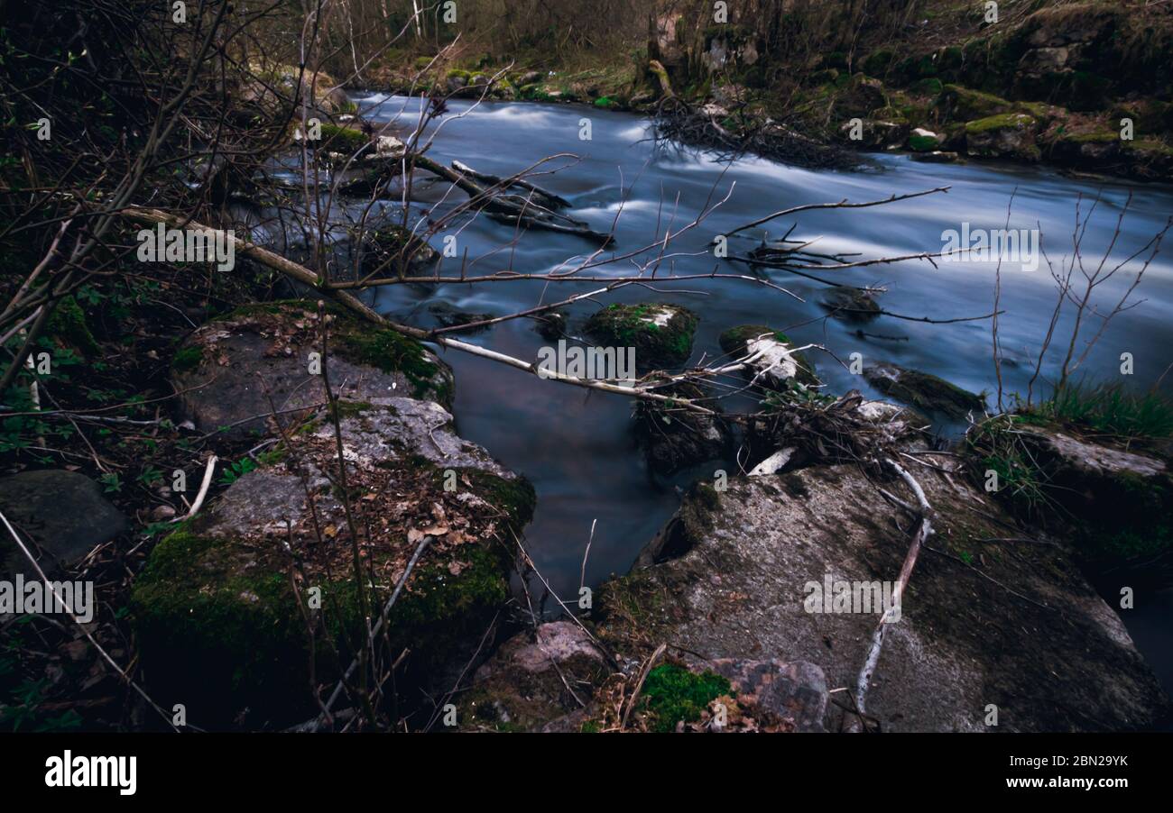 Pietre del fiume. Fiume rapido nel mezzo della foresta. Acqua corrente con esposizione lunga. Foto Stock