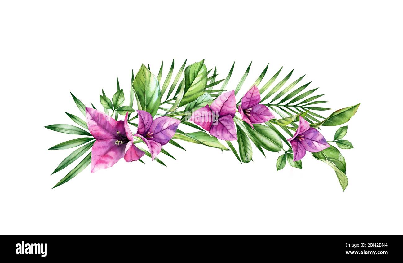 Arco tropicale acquerello. Fiori di bouganvillea rosa, foglie di palma e agrumi. Sfondo floreale dipinto a mano. Illustrazioni botaniche isolate su Foto Stock
