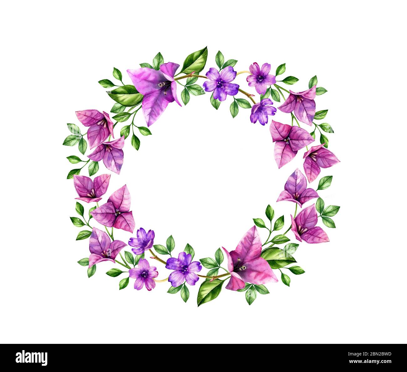 Wreath acquerello con fiori di bouganvillea viola. Sfondo tropicale dipinto a mano per testo, logo, biglietti da matrimonio. Illustrazioni botaniche isolate Foto Stock