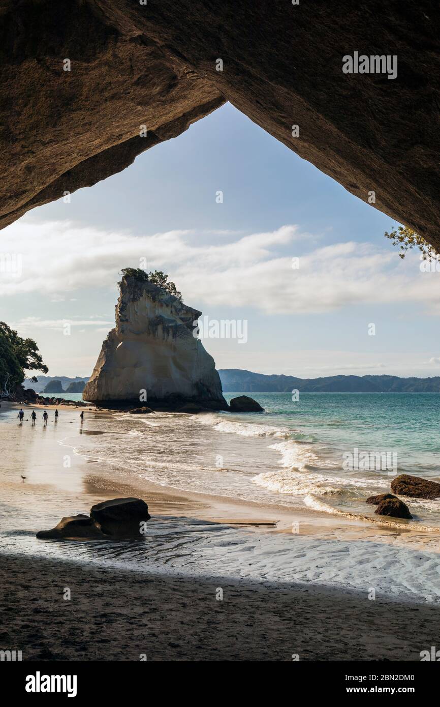 Cathedral Cove, Penisola di Coromandel, Waikato, Isola del Nord, Nuova Zelanda Foto Stock