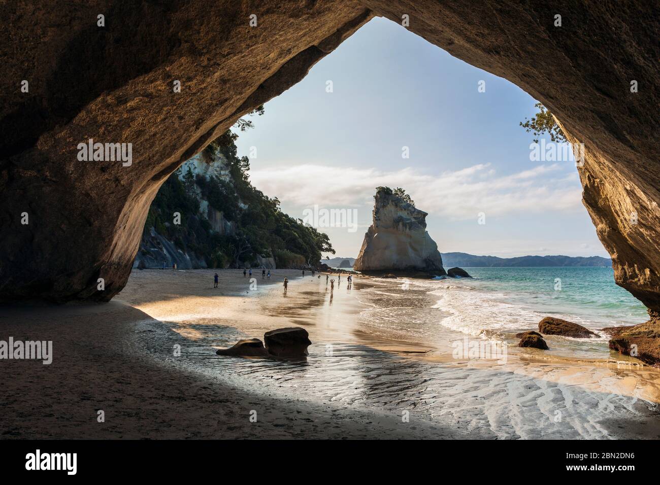 Cathedral Cove, Penisola di Coromandel, Waikato, Isola del Nord, Nuova Zelanda Foto Stock