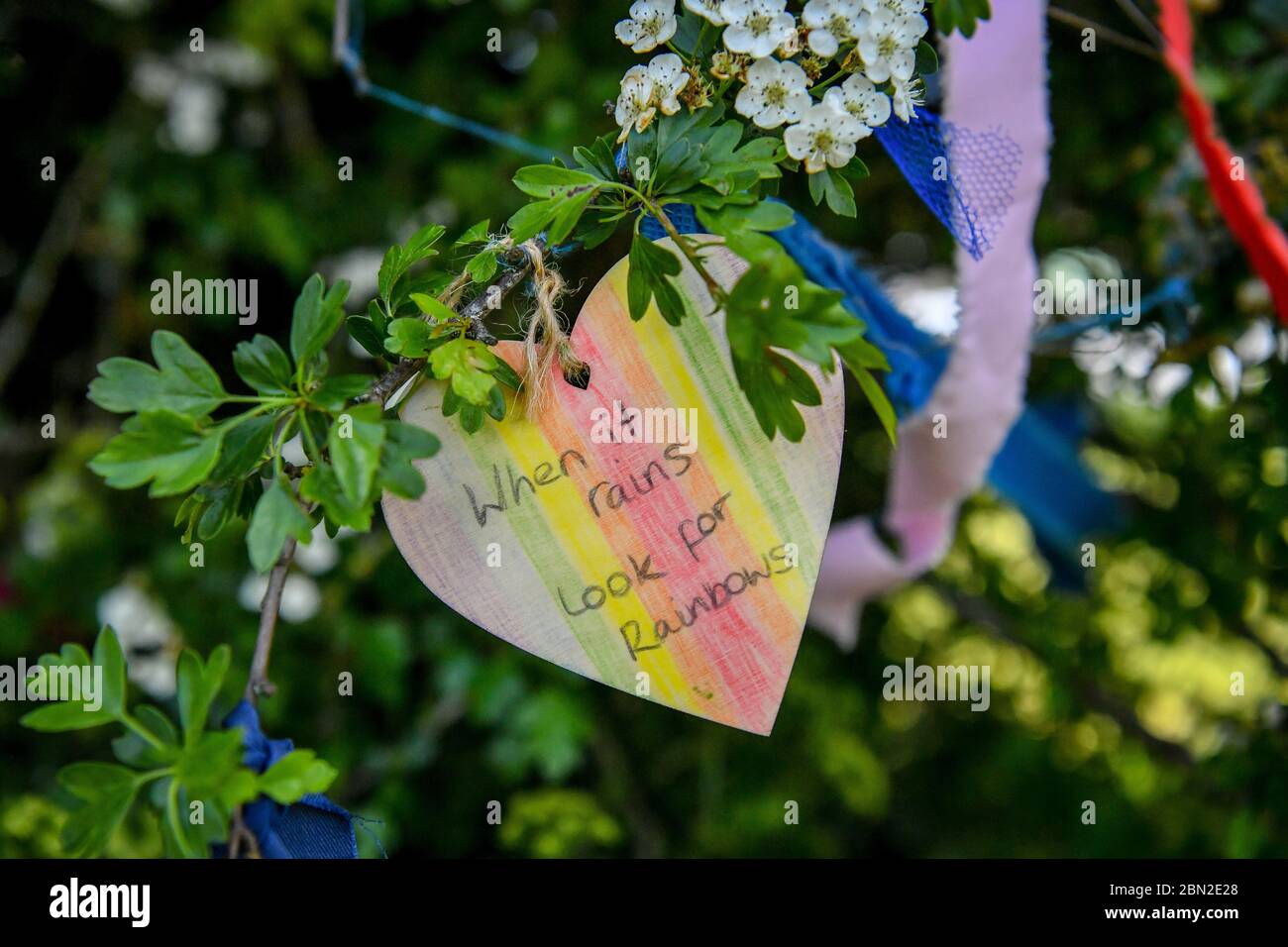 Un messaggio legato ad un albero di desiderio, adornato con nastri, messaggi e poesie, apparso su Clifton Downs, Bristol, dove messaggi di coronavirus e sentimenti di speranza e positività sono stati legati all'albero da nastri colorati. Foto Stock