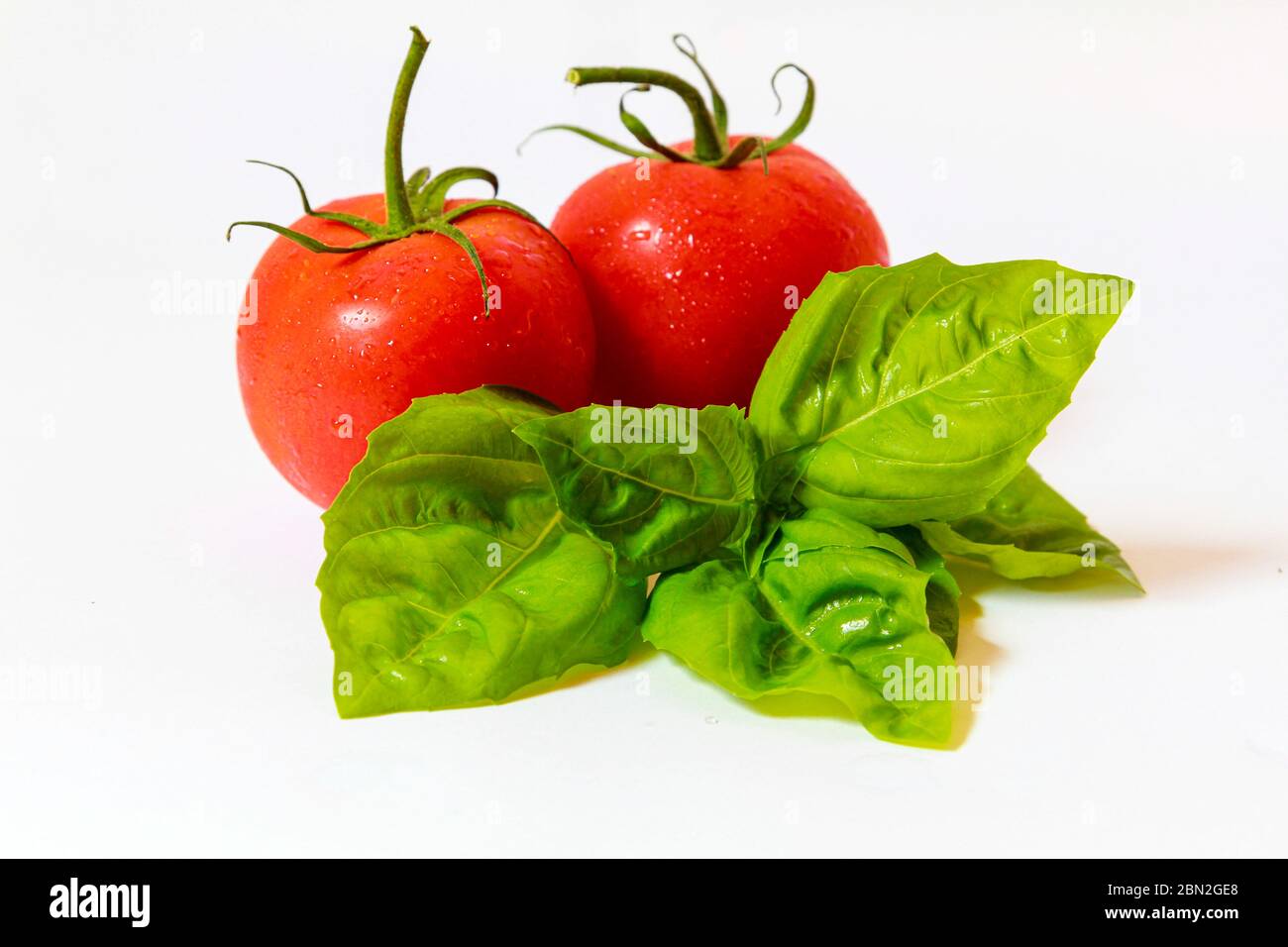 Due pomodori rossi maturi con un fresco rametto di basilico verde isolato su bianco. Foto Stock