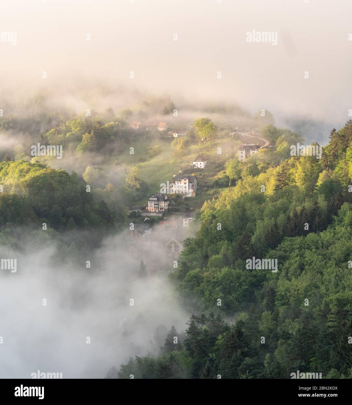 moody mattina in svizzera sassone, sassonia, germania Foto Stock