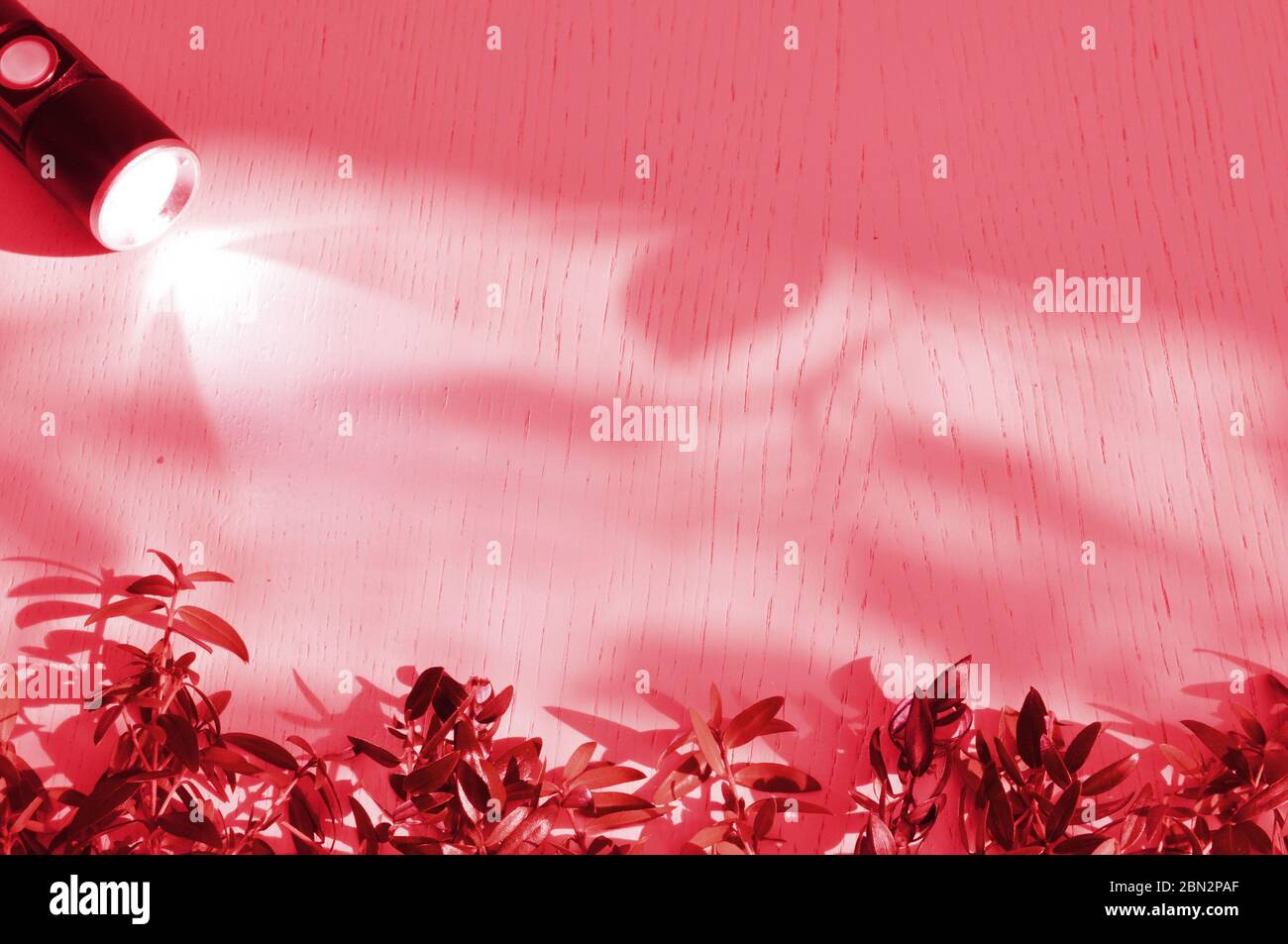 Lanterna e raggio di luce al buio su una superficie di legno con ramoscelli di pianta di mirto. Superficie con spazio di copia. Foto Stock