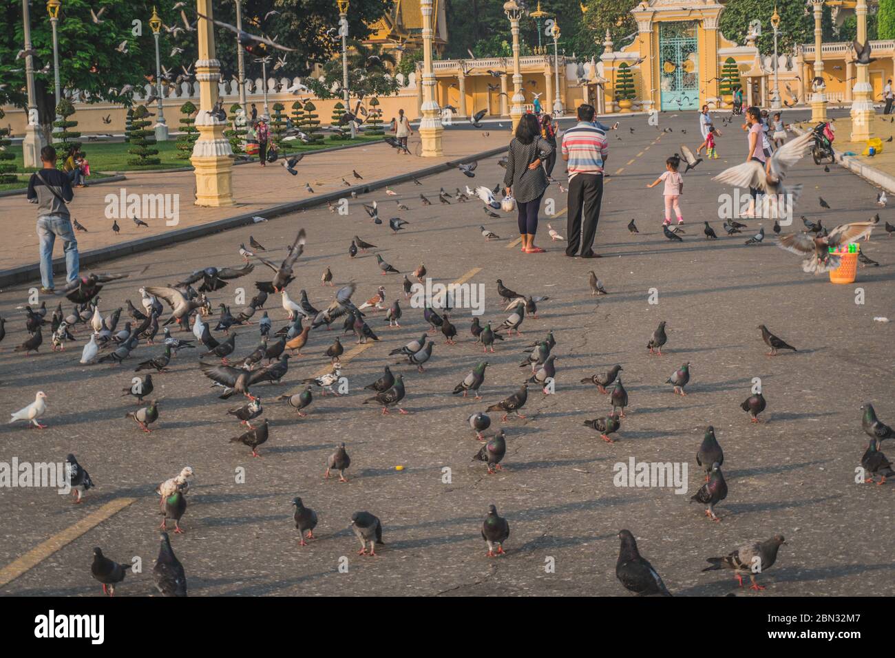 Uccelli al parco del Palazzo reale di fronte al Palazzo reale presso il Sisowath Quay presso il fiume Tonle SAP nella città di Phnom Penh della Cambogia. Phnom Penh, Cambogia - 22 FEBBRAIO 2020 Foto Stock