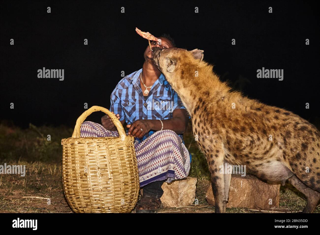 Di notte l'attrazione turistica si nutre fuori città. Il popolo Harari ha una bella tradizione che gestisce le enene. Ora guadagnano un po' di Mone Foto Stock