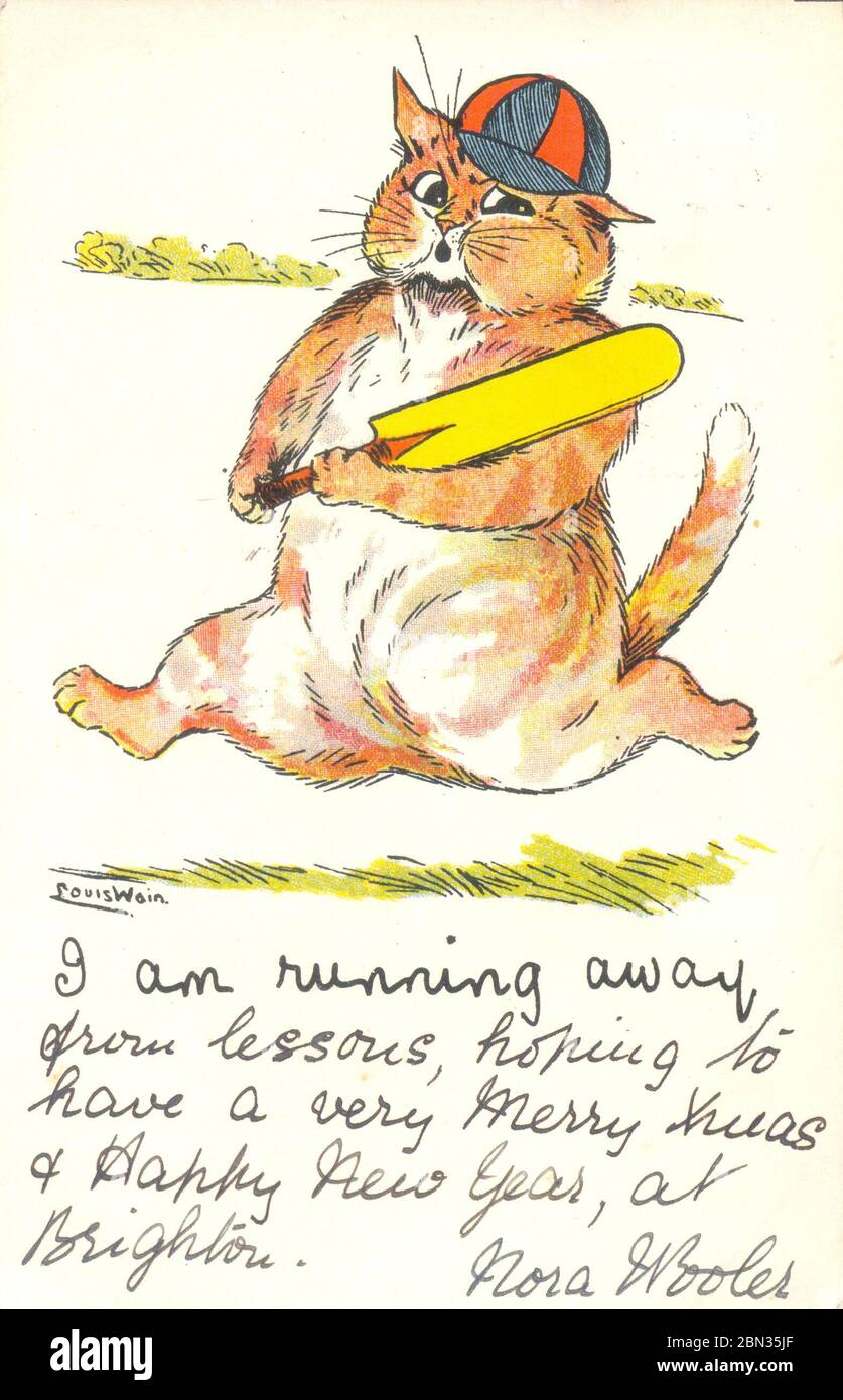 Cartolina posteriore indivisa da Louis Wain che mostra un gatto che tiene un bat cricket postalmente usato 1902 Foto Stock