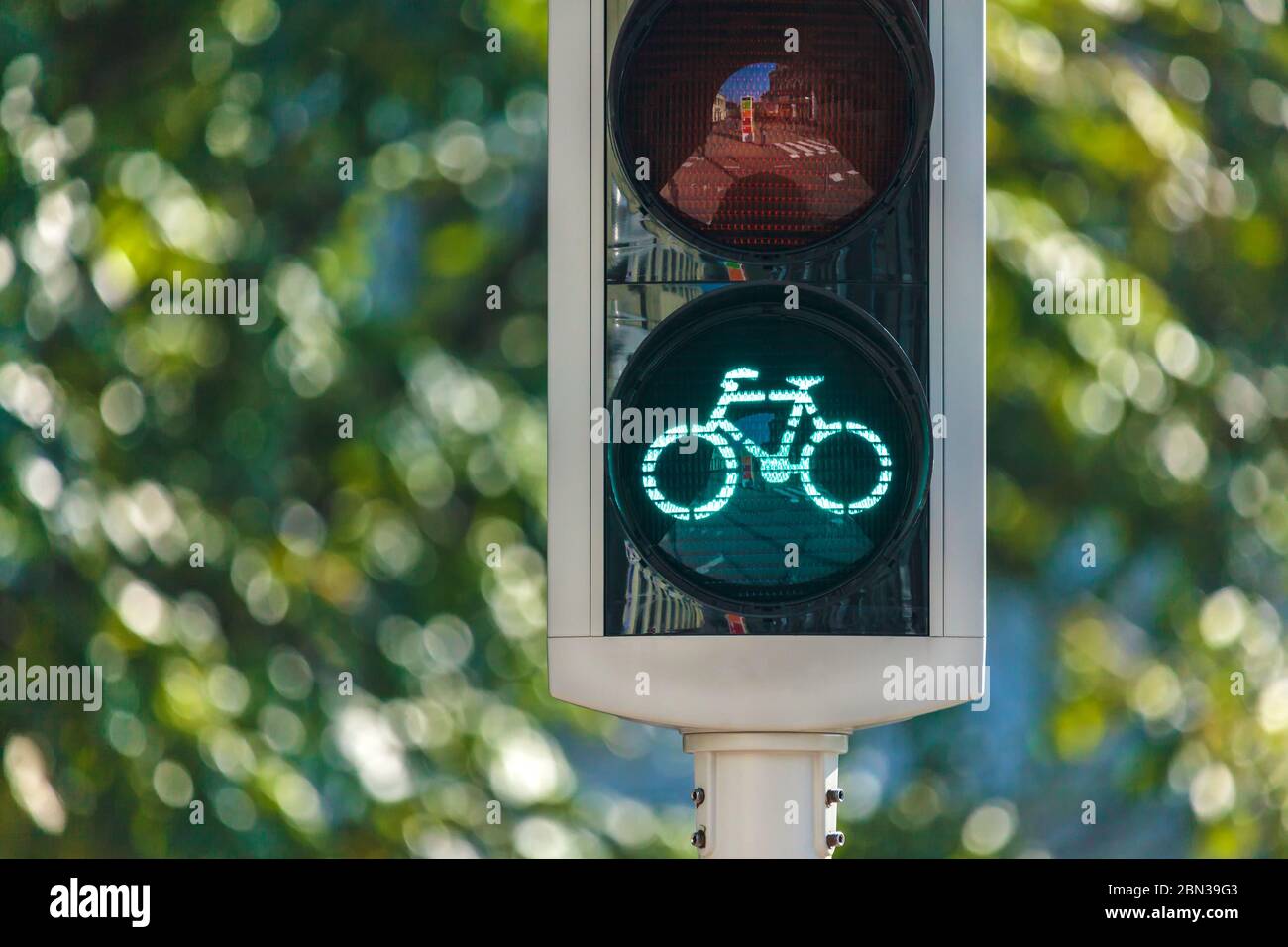 Semaforo in bicicletta nei Paesi Bassi con alberi sullo sfondo Foto Stock