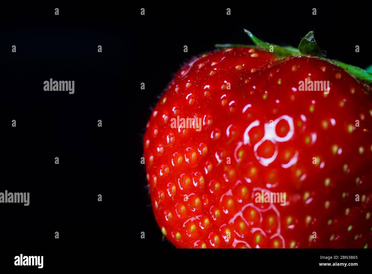 Macro primo piano di una fragola isolata con foglie verdi su lastra di vetro riflettente nera illuminata da luce studio Foto Stock