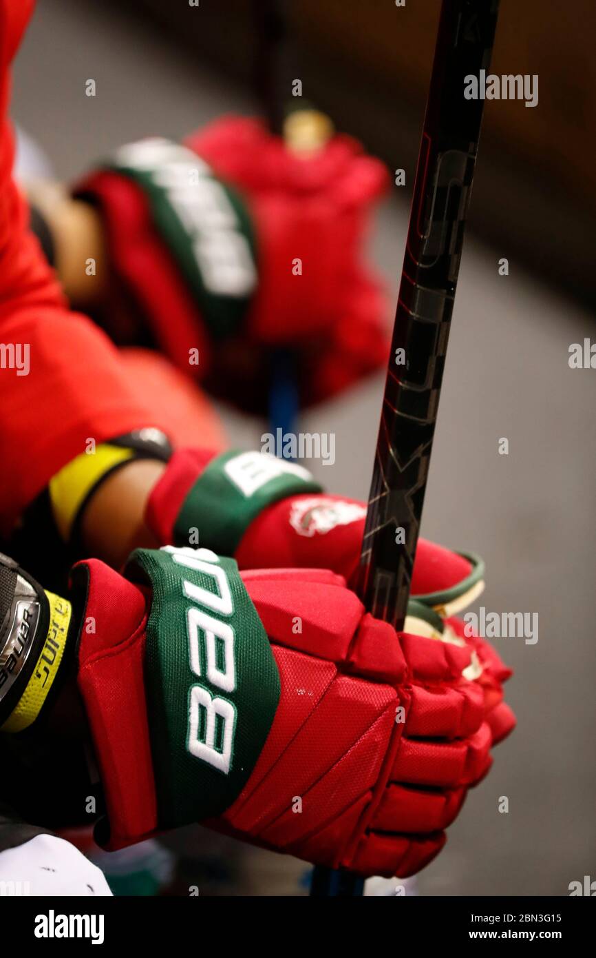 Partita di hockey su ghiaccio. Squadra di hockey. Guanti. Francia. Foto Stock