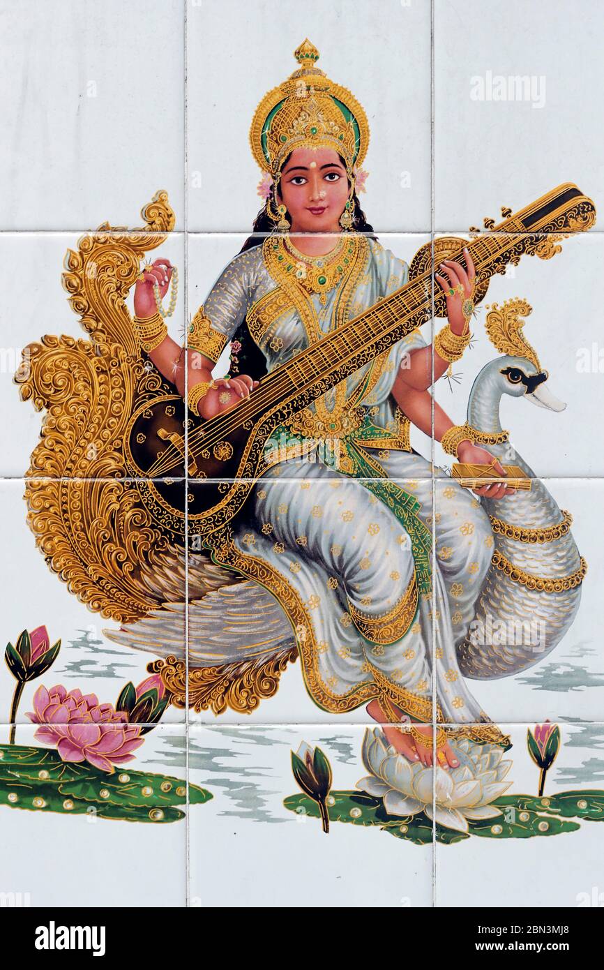 Il Mio Diario Vishnu