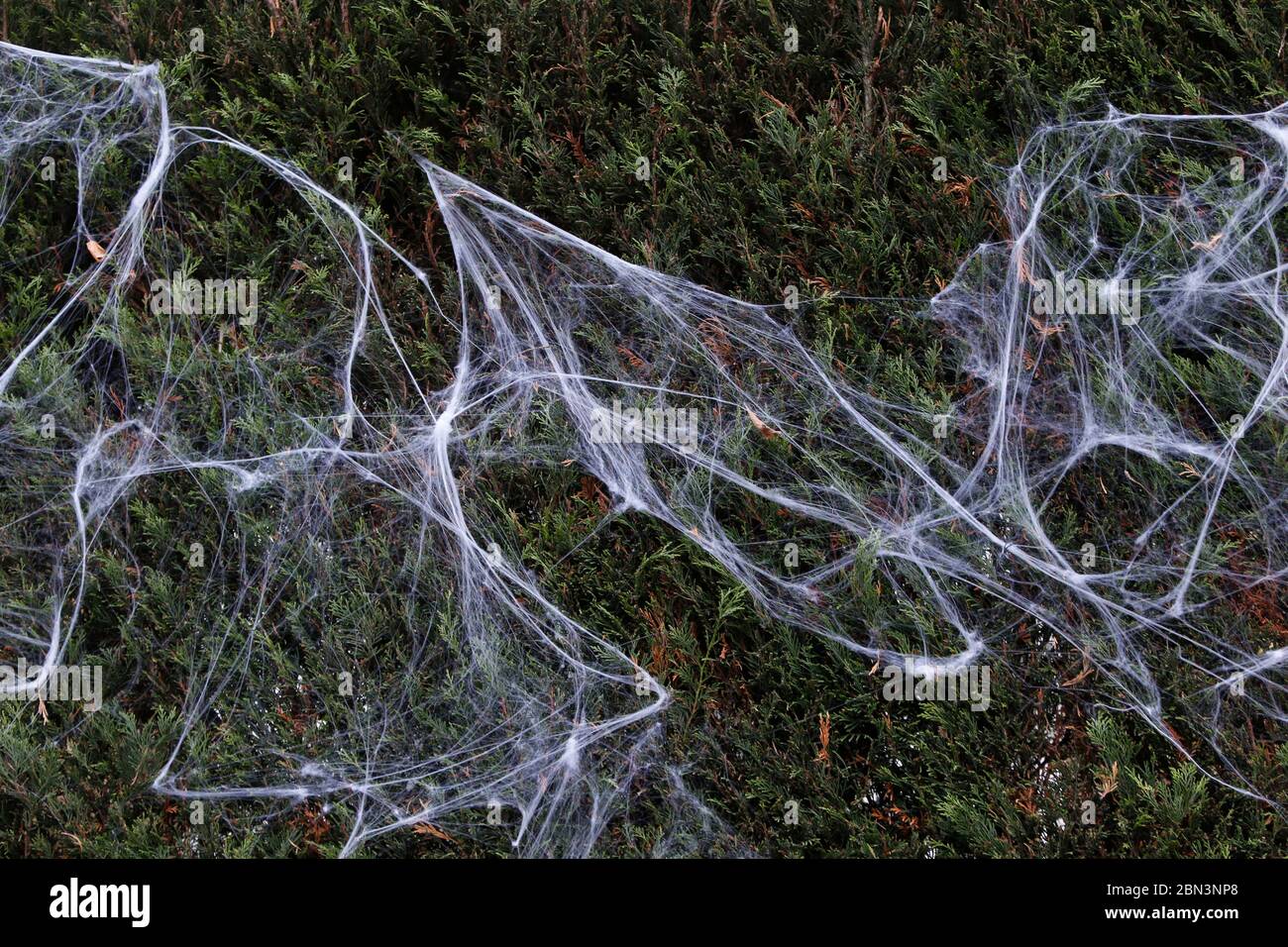 Decorazione di Halloween in un giardino della casa di Londra, Regno Unito Foto Stock